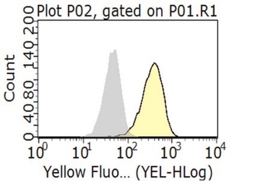 Anti-PD-L1 Antibody, clone 29E.2A3.C6, Azide Free clone 29E.2A3.C6, from mouse