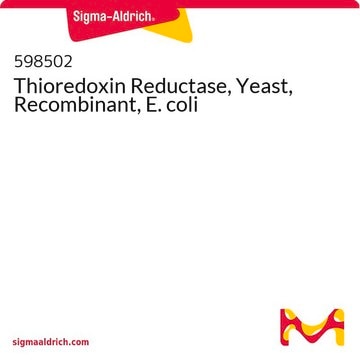 Thioredoxin Reductase, Yeast, Recombinant, E. coli