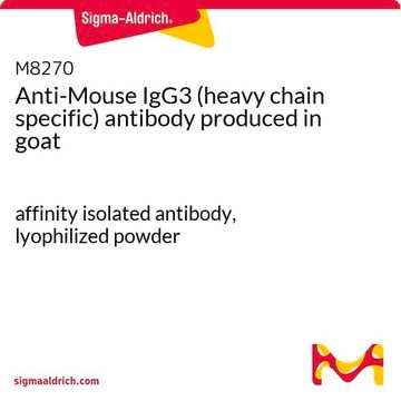 Anti-Mouse IgG3 (heavy chain specific) antibody produced in goat affinity isolated antibody, lyophilized powder