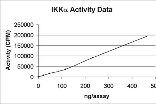 IKK&#945; Protein, active, 10 &#181;g Active, recombinant full-length human IKK&#945;, containing an N-terminal GST-tag, for use in Kinase Assays.