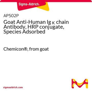 Goat Anti-Human Ig &#954; chain Antibody, HRP conjugate, Species Adsorbed Chemicon&#174;, from goat