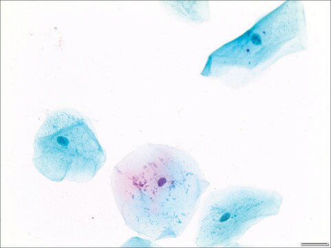 Papanicolaou Stain EA 50