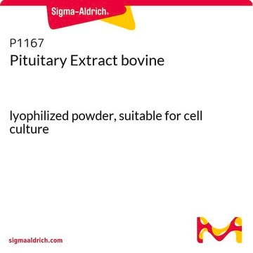 Pituitary Extract bovine lyophilized powder, suitable for cell culture