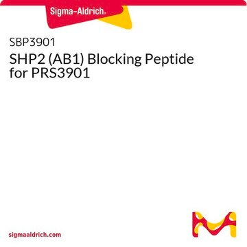 SHP2 (AB1) Blocking Peptide for PRS3901