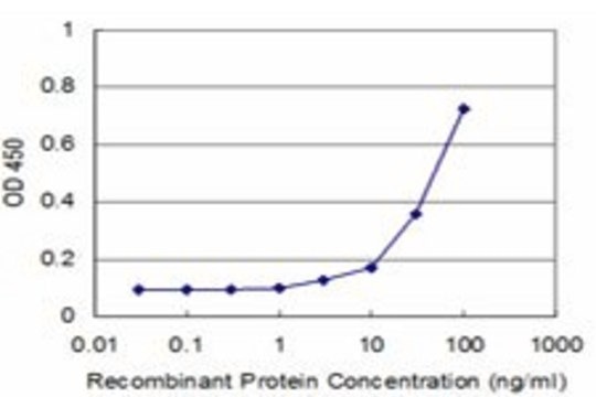 ANTI-CXCL12 antibody produced in mouse clone 4D8, purified immunoglobulin, buffered aqueous solution