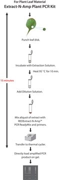 REDExtract-N-Amp&#8482; Plant PCR Kit sufficient for 100&#160;extractions, sufficient for 100&#160;amplifications