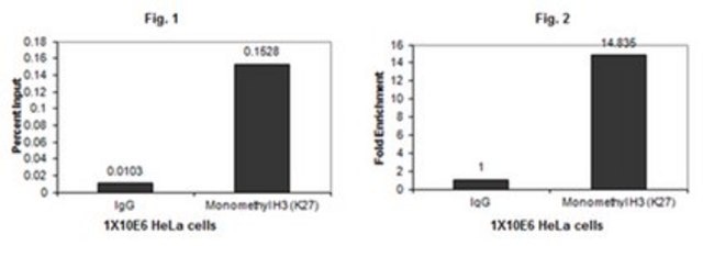 Anti-monomethyl-Histone H3 (Lys27) Antibody, Trial Size Upstate&#174;, from rabbit