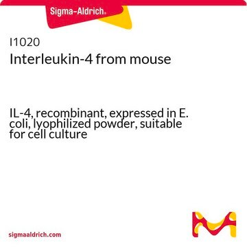 Interleukin-4 from mouse IL-4, recombinant, expressed in E. coli, lyophilized powder, suitable for cell culture