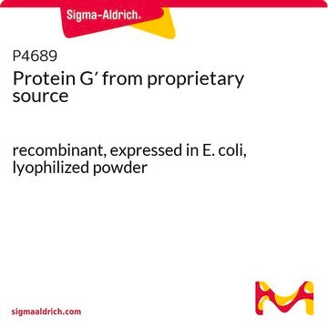 Protein&nbsp;G&#8242; from proprietary source recombinant, expressed in E. coli, lyophilized powder