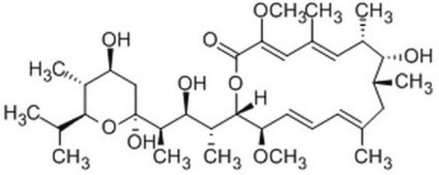 Bafilomycin A1 InSolution, &#8805;90%, A macrolide antibiotic that acts as a specific inhibitor of vacuolar-type H+-ATPase