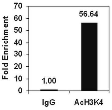 ChIPAb+ Acetyl-Histone H3 (Lys4) - ChIP Validated Antibody and Primer Set from rabbit, purified by affinity chromatography