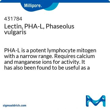 Lectin, PHA-L, Phaseolus vulgaris PHA-L is a potent lymphocyte mitogen with a narrow range. Requires calcium and manganese ions for activity. It has also been found to be useful as a specific marker in anterograde neuronal tracing. Elution: 100 mM acetic acid.