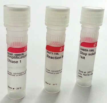 DNase I Amplification Grade