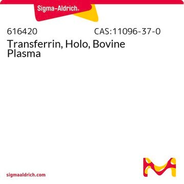 Transferrin, Holo, Bovine Plasma