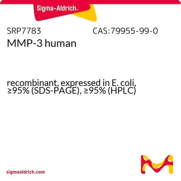 MMP-3 human recombinant, expressed in E. coli, &#8805;95% (SDS-PAGE), &#8805;95% (HPLC)