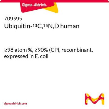 Ubiquitin-13C,15N,D human &#8805;98 atom %, &#8805;90% (CP), recombinant, expressed in E. coli