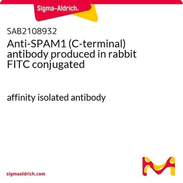 Anti-SPAM1 (C-terminal) antibody produced in rabbit FITC conjugated affinity isolated antibody