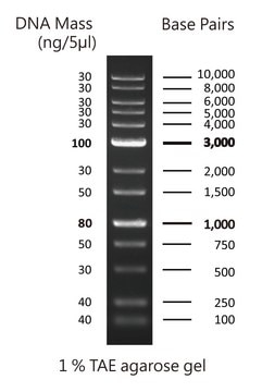 DirectLoad&#8482; Plus 1kb DNA Ladder