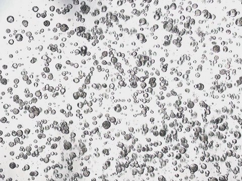 3dGRO&#174; Colorectal Organoids (CSC.171C.G1)