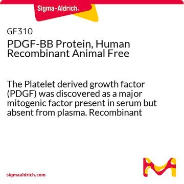 PDGF-BB Protein, Human Recombinant Animal Free The Platelet derived growth factor (PDGF) was discovered as a major mitogenic factor present in serum but absent from plasma. Recombinant animal free human PDGF-BB is manufactured using all non-animal reagents.