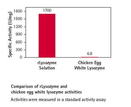 rLysozyme Solution Stabilized recombinant lysozyme