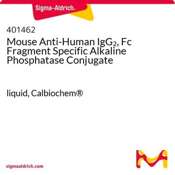 Mouse Anti-Human IgG&#8322;, Fc Fragment Specific Alkaline Phosphatase Conjugate liquid, Calbiochem&#174;