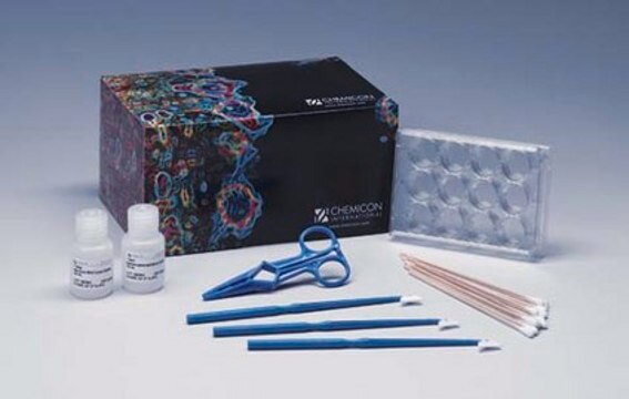 Pseudopodia Purification Kit The Pseudopodia Purification Kit is a novel system designed to specifically isolate &amp; purify extending pseudopodia proteins from the cell body.