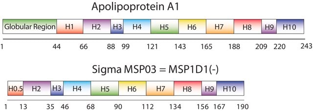 Membrane Scaffold Protein 1D1(-) recombinant, expressed in E. coli, buffered aqueous solution