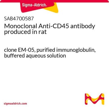 Monoclonal Anti-CD45 antibody produced in rat clone EM-05, purified immunoglobulin, buffered aqueous solution