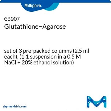 Glutathione&#8722;Agarose set of 3 pre-packed columns (2.5 ml each), (1:1 suspension in a 0.5 M NaCl + 20% ethanol solution)