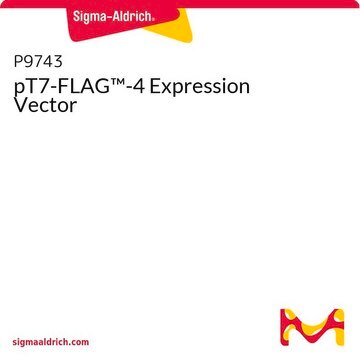 pT7-FLAG&#8482;-4 Expression Vector