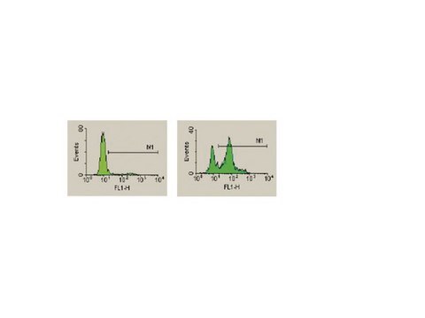 CaspaTag Caspase 3,7 In Situ Assay Kit, Fluorescein The In Situ Caspase Detection Kit for Flow Cytometry use a novel approach to detect active caspases. The methodology is based on Fluorochrome Inhibitors of Caspases (FLICA).