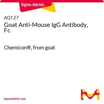 Goat Anti-Mouse IgG Antibody, Fc Chemicon&#174;, from goat