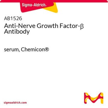 Anti-Nerve Growth Factor-&#946; Antibody serum, Chemicon&#174;