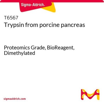 Trypsin from porcine pancreas BioReagent, Proteomics Grade, Dimethylated