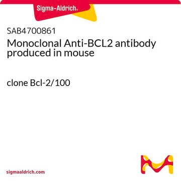 Monoclonal Anti-BCL2 antibody produced in mouse clone Bcl-2/100