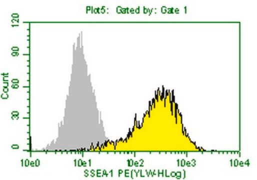 Anti-SSEA-1 Antibody, clone MC-480, PE conjugate clone MC-480, from mouse, PE