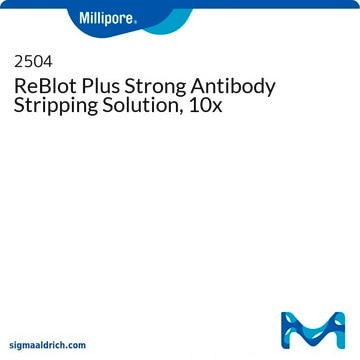 ReBlot Plus Strong Antibody Stripping Solution, 10x