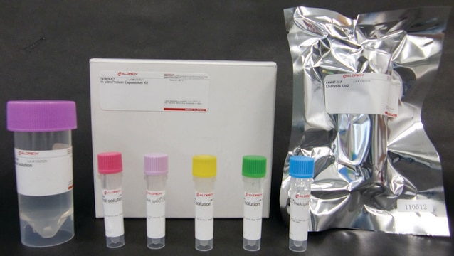 In Vitro Protein Expression (iPE-SS) Kit for disulfide-containing proteins