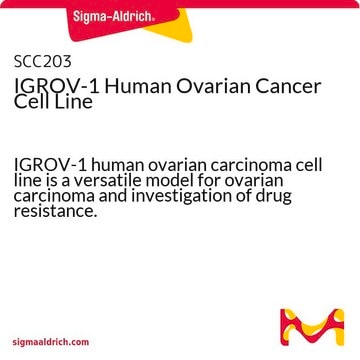 IGROV-1 Human Ovarian Cancer Cell Line IGROV-1 human ovarian carcinoma cell line is a versatile model for ovarian carcinoma and investigation of drug resistance.