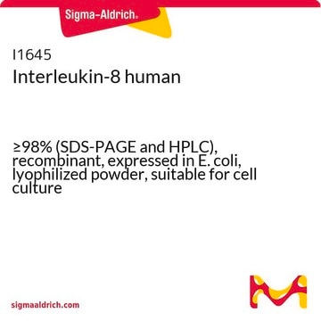 Interleukin-8 human &#8805;98% (SDS-PAGE and HPLC), recombinant, expressed in E. coli, lyophilized powder, suitable for cell culture