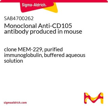 Monoclonal Anti-CD105 antibody produced in mouse clone MEM-229, purified immunoglobulin, buffered aqueous solution