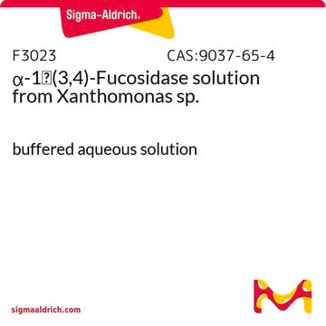 &#945;-1&#8594;(3,4)-Fucosidase solution from Xanthomonas sp. buffered aqueous solution