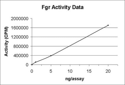 Fgr Protein, active, 10 &#181;g Active, N-terminal His6-tagged, recombinant, human Fgr, amino acids 2-end, for use in Kinase Assays.