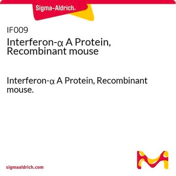 Interferon-&#945; A Protein, Recombinant mouse Interferon-&#945; A Protein, Recombinant mouse.