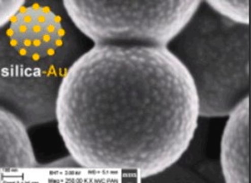 Gold coated silica nanoparticles 1&#160;wt. % in water, 600&#160;nm (non-porous silica), 20&#160;nm (gold nanoparticles)