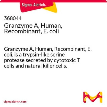 Granzyme A, Human, Recombinant, E. coli Granzyme A, Human, Recombinant, E. coli, is a trypsin-like serine protease secreted by cytotoxic T cells and natural killer cells. Induces cell death through caspase-independent mechanism.