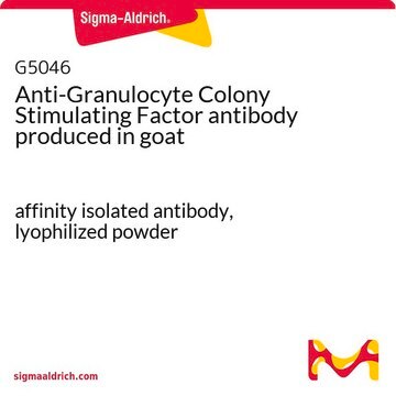 Anti-Granulocyte Colony Stimulating Factor antibody produced in goat affinity isolated antibody, lyophilized powder