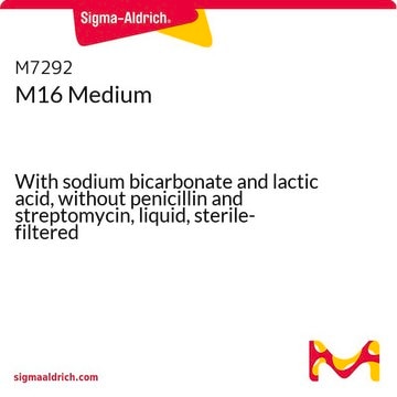 M16 Medium With sodium bicarbonate and lactic acid, without penicillin and streptomycin, liquid, sterile-filtered