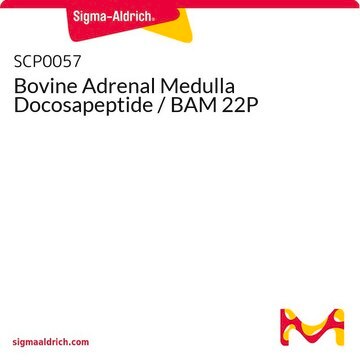 Bovine Adrenal Medulla Docosapeptide / BAM 22P